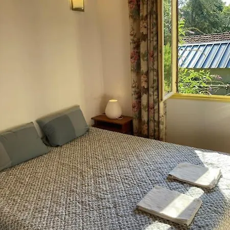 Lerable Pourpre De La Grotte Au Lion