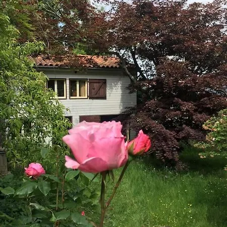 Lerable Pourpre De La Grotte Au Lion Arbon