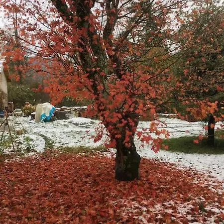 Lerable Pourpre De La Grotte Au Lion Casa vacanze