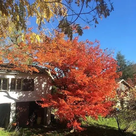 Lerable Pourpre De La Grotte Au Lion * Arbon
