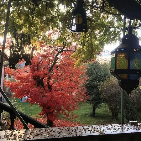 Lerable Pourpre De La Grotte Au Lion Casa vacanze