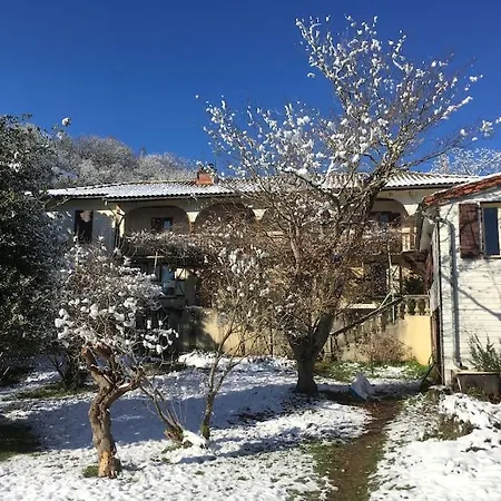 Lerable Pourpre De La Grotte Au Lion *