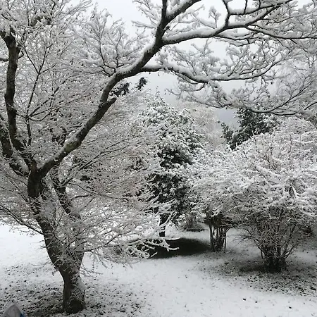 Lerable Pourpre De La Grotte Au Lion Casa vacanze *