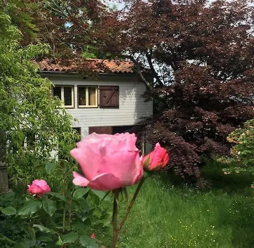 Lerable Pourpre De La Grotte Au Lion Arbon