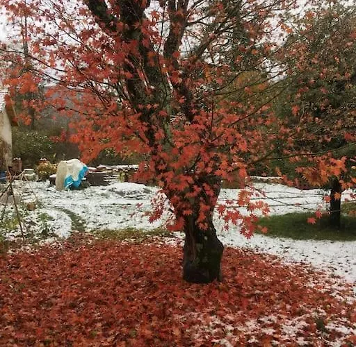 Lerable Pourpre De La Grotte Au Lion בית נופש