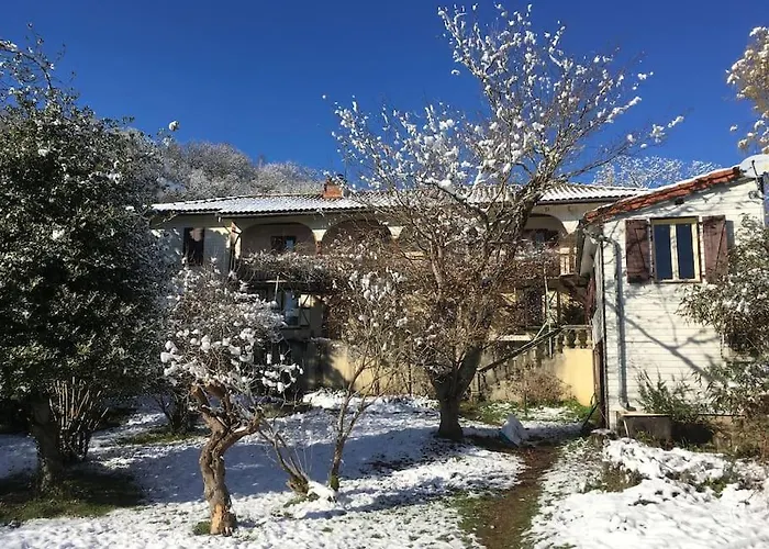 Lerable Pourpre De La Grotte Au Lion *