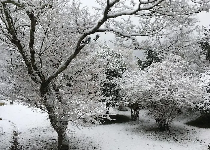 Lerable Pourpre De La Grotte Au Lion בית נופש *