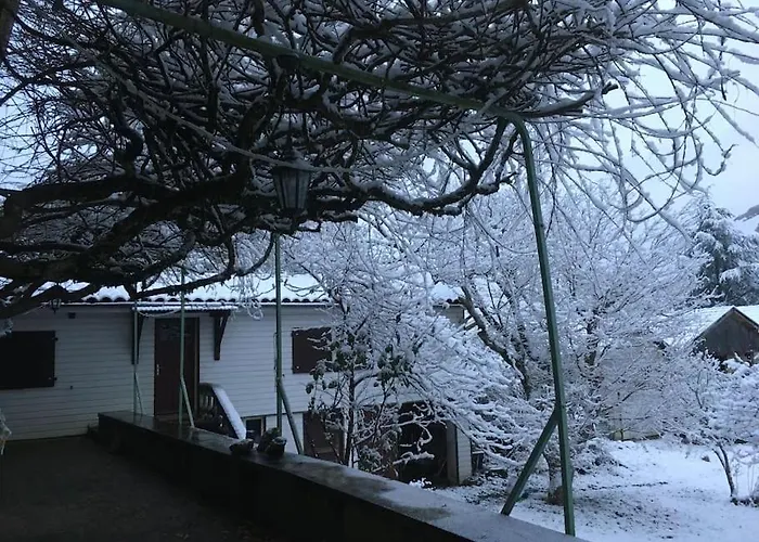 Lerable Pourpre De La Grotte Au Lion
